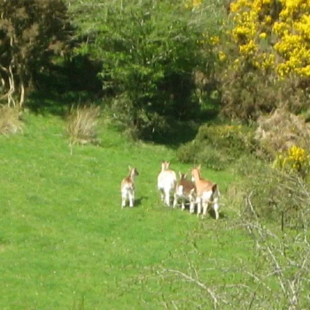 Slieve Bloom Mountains – Ireland’s Hidden Highlands