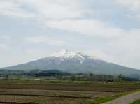 Sakura Serenity in Hirosaki: Northern Japan’s Blossom Gem