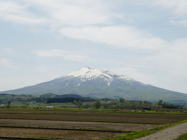 Sakura Serenity in Hirosaki: Northern Japan’s Blossom Gem