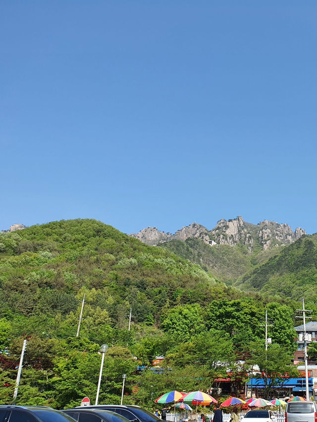 대둔산 등산코스 후기 ⛰ 돛대봉~마대봉 종주 완등 성공!