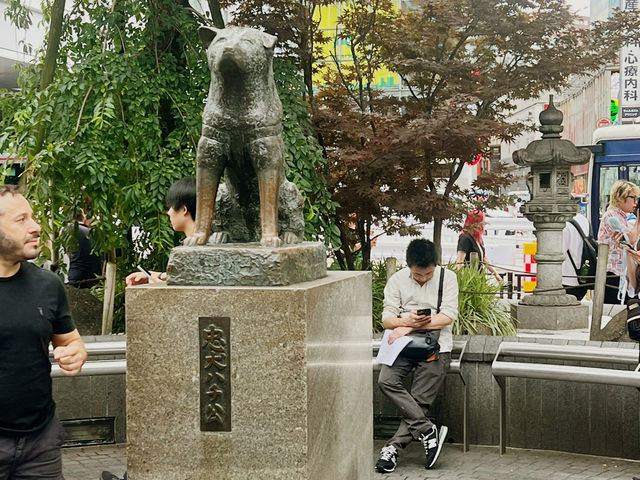 Shibuya – A Lively Mix of Anime, Culture, and City Life