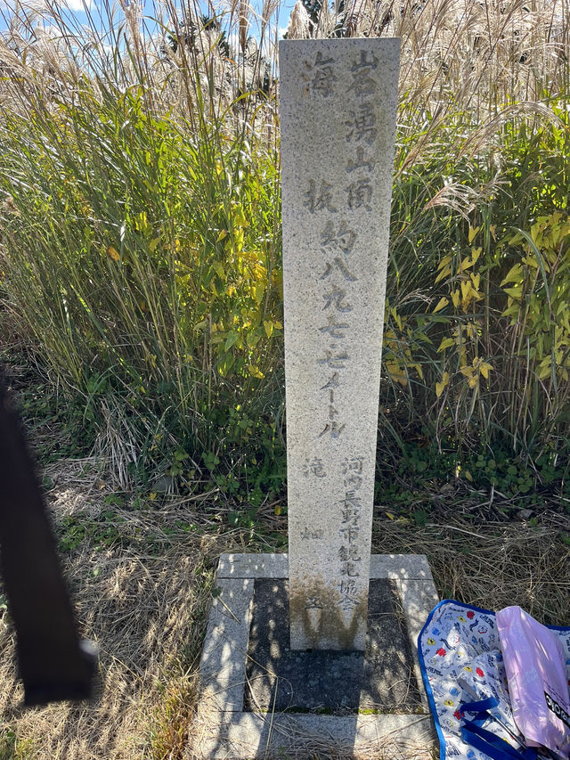 【岩湧山でススキ三昧】 🌾　大阪