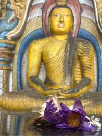 🇱🇰 ダンブッラ石窟寺院