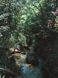 都内にある広大なお庭 椿山荘の庭園へ