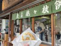 九州熊本福岡初體驗🌸超級適合帶長輩一起旅遊🥳