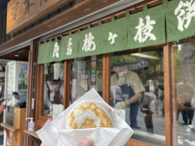 九州熊本福岡初體驗🌸超級適合帶長輩一起旅遊🥳