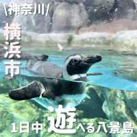 1日中遊び尽くせる‼️八景島