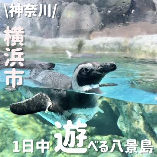 可以玩一整天的八景島
