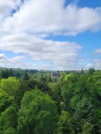 A Kiss of Legend: Wandering Through Blarney Castle & Gardens
