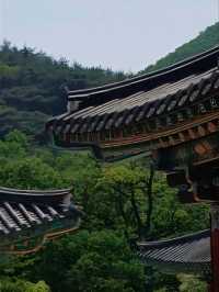 가을이면 더욱 아름다운 은해사의 풍경
