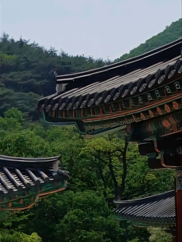 가을이면 더욱 아름다운 은해사의 풍경