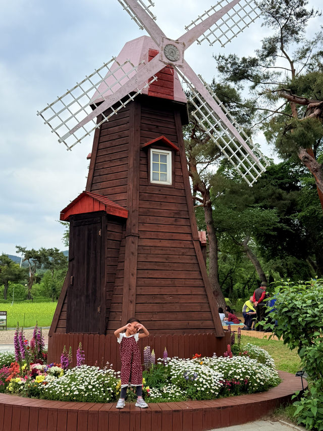🌳 Discover Nature and Fun at Seoul Grand Park! 🦁