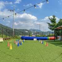 🏕️ 경기 가평 올덴카라반캠핑장, 자연 속 힐링 캠핑! 