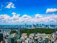 SHIBUYA SKY – Tokyo from Above