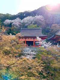 日本｜京都｜清水寺周邊