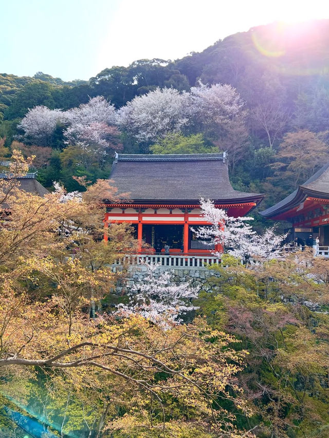 日本｜京都｜清水寺周邊