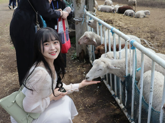 도쿄 근교여행 하치오지 마카이노 목장