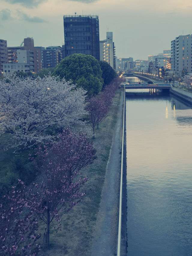  東京木場區購物攻略｜實用與特色伴手禮精選