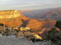 Grand Canyon National Park – A Mile-Deep Masterpiece