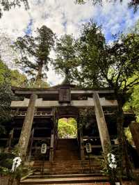 京都｜800年歷史53公尺高大杉木 由岐神社的鎮邪傳說