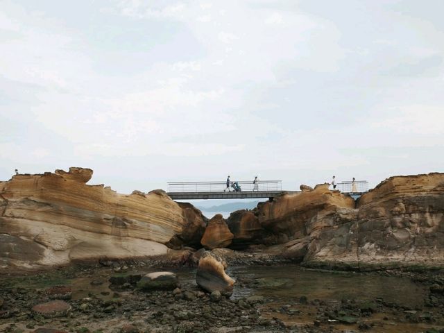 Elephant trunk rock