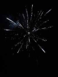 【フィンランド🇫🇮】年越し！ヘルシンキ！花火🎆