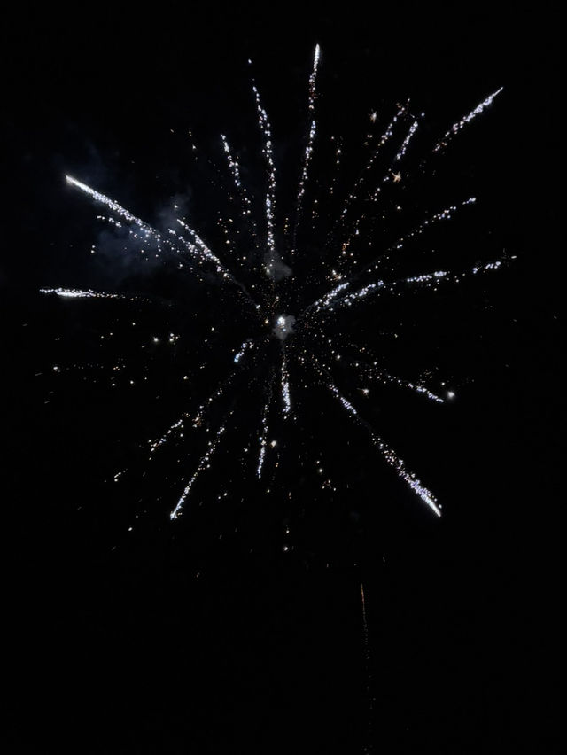 【フィンランド🇫🇮】年越し！ヘルシンキ！花火🎆