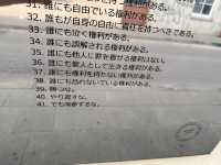 【Užupis｜ウジュピス共和国 🇱🇹】 リトアニアの首都ビリニュスにある“未承認国家”へようこそ！