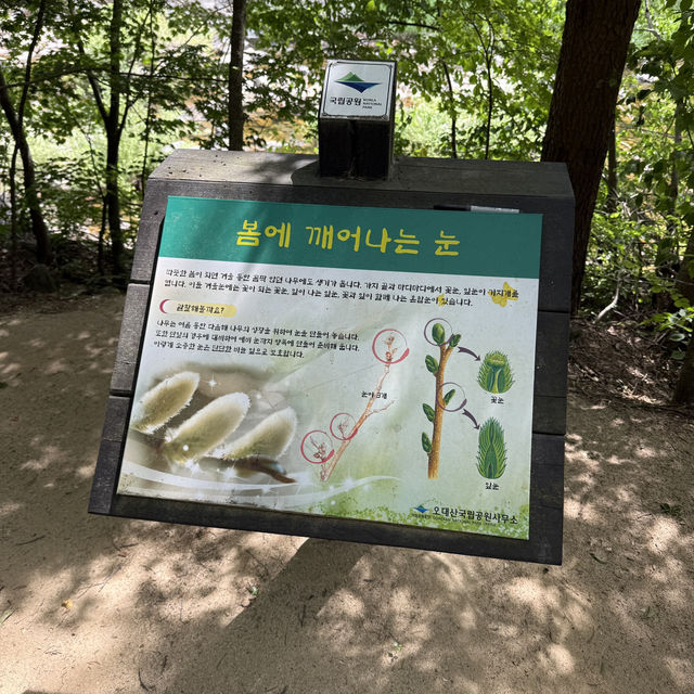 봄 숲의 향기를 느끼하면서 산책하기 좋은 이곳‼️