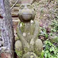 五峰山採桃樂及五指山登山趣