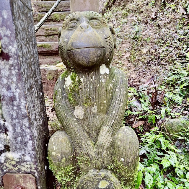 五峰山採桃樂及五指山登山趣