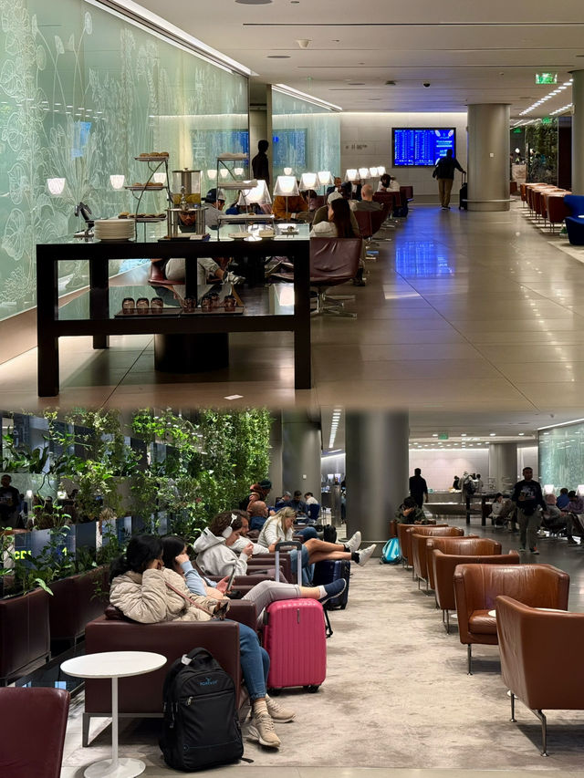 Overnight layover in Doha with Al Maha