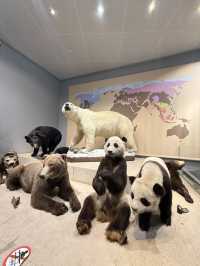 Shanghai Natural History Museum
