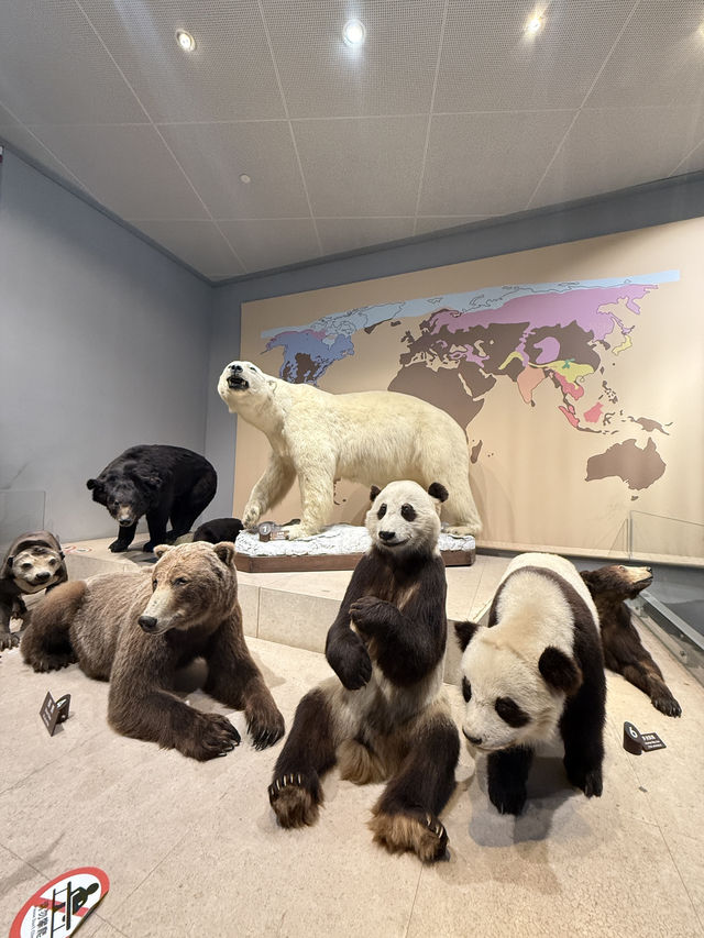 Shanghai Natural History Museum