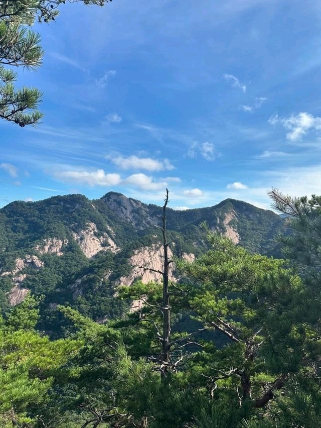 Hidden Gem Alert, Joryeong Mountain