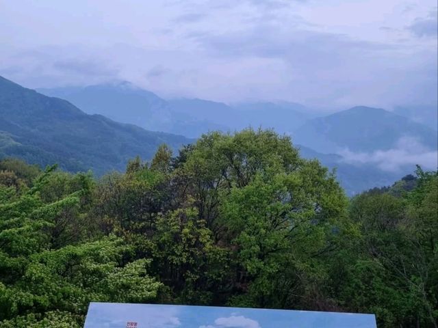 Lost in Nature (and Loving It) at Jirisan Odojae