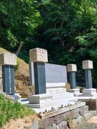 숲속 고요를 만나는 힐링 산책