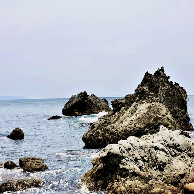 基隆嶼登島看花看海去！