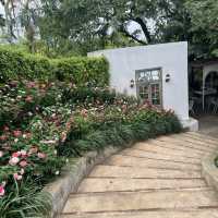  🌸 Fleur Cafe & Eatery – คาเฟ่กลางสวนสไตล์ยุโรป
