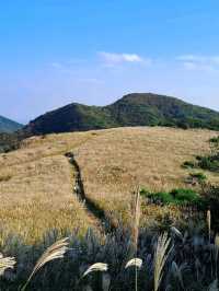 Quiet Trails & Cloud-Hugging Views at Mujangbong