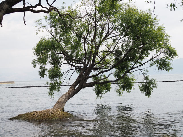 🌊✨ Erhai Lake – A Must-Visit Gem in Dali, Yunnan! ✨🌊
