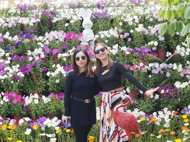 🌼 Huayu Ranch (花语牧场), Dali – A Flower Wonderland 