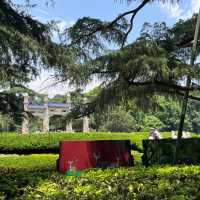 ⛰️ Nanjing Zhongshan Scenic Area – More Than Just 392 Steps 