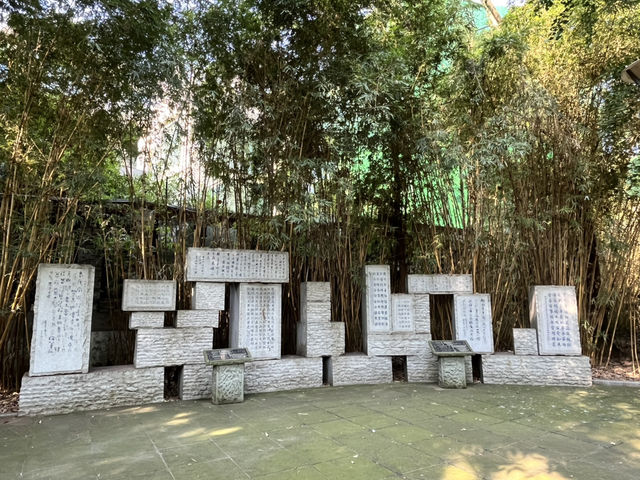 🌿 Huanhuaxi Park – A Calm Escape in the Heart of Chengdu