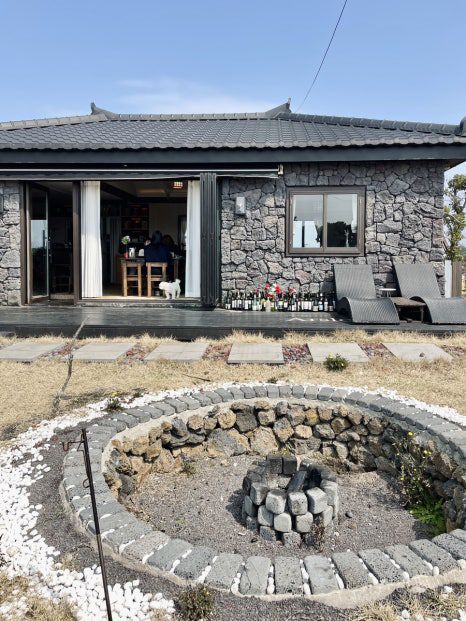 🍽️ 제주 감성 양식 맛집 후기 🌿