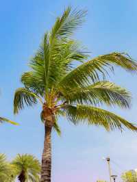 หาดลับ 🌴 หาดแยกกระทิงลาย 