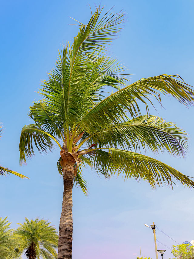 หาดลับ 🌴 หาดแยกกระทิงลาย 