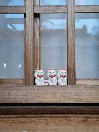 Gotokuji Temple วัดแมวกวัก