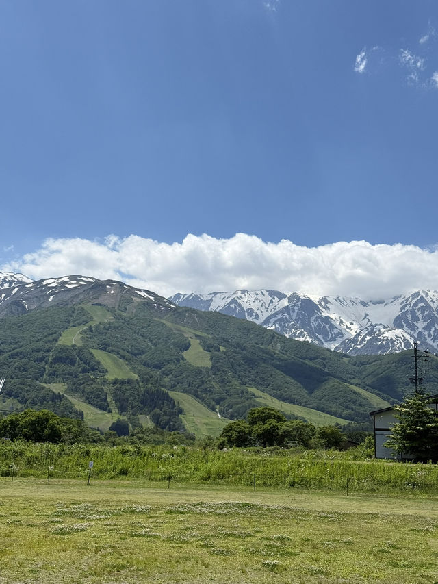 Takayama in June 2025