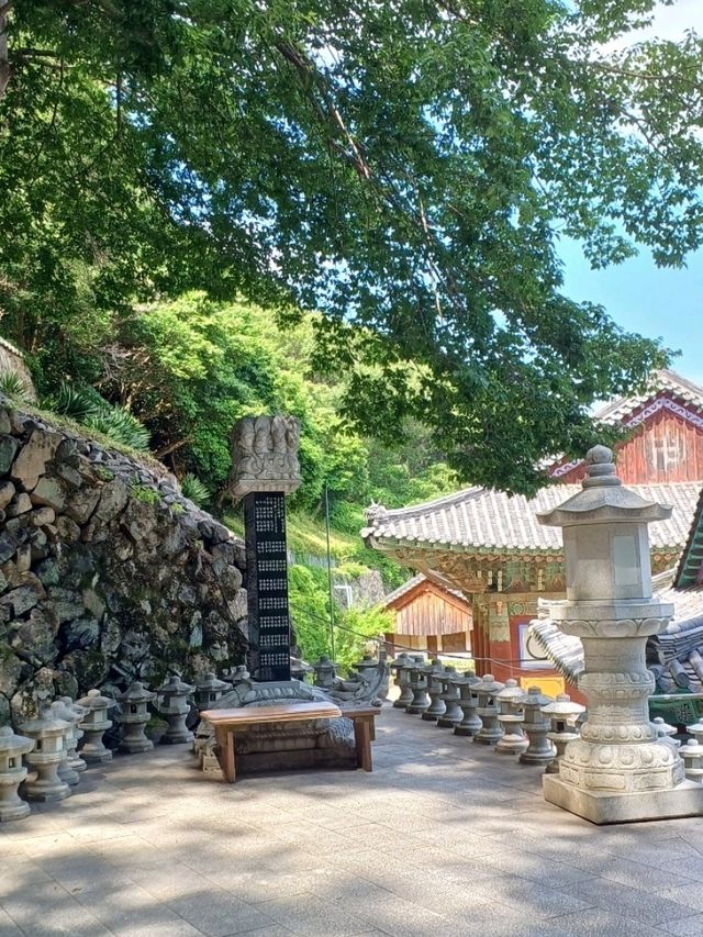 친구와 함께 떠나는 도심 속 인생샷 투어📸